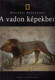 A vadon képekben