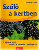 Szőlő a kertben