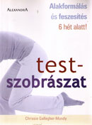 Testszobrászat